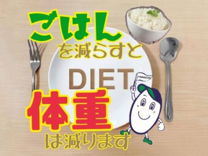 ごはんを減らすと体重は減ります