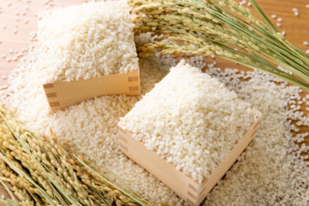 驚くほど多いお米の品種数〜但し、上位２０品種で８０％〜